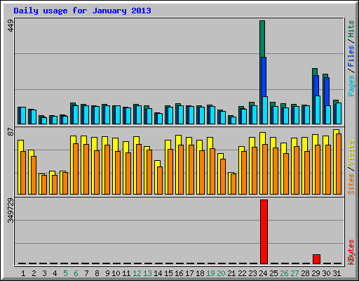 Daily usage for January 2013